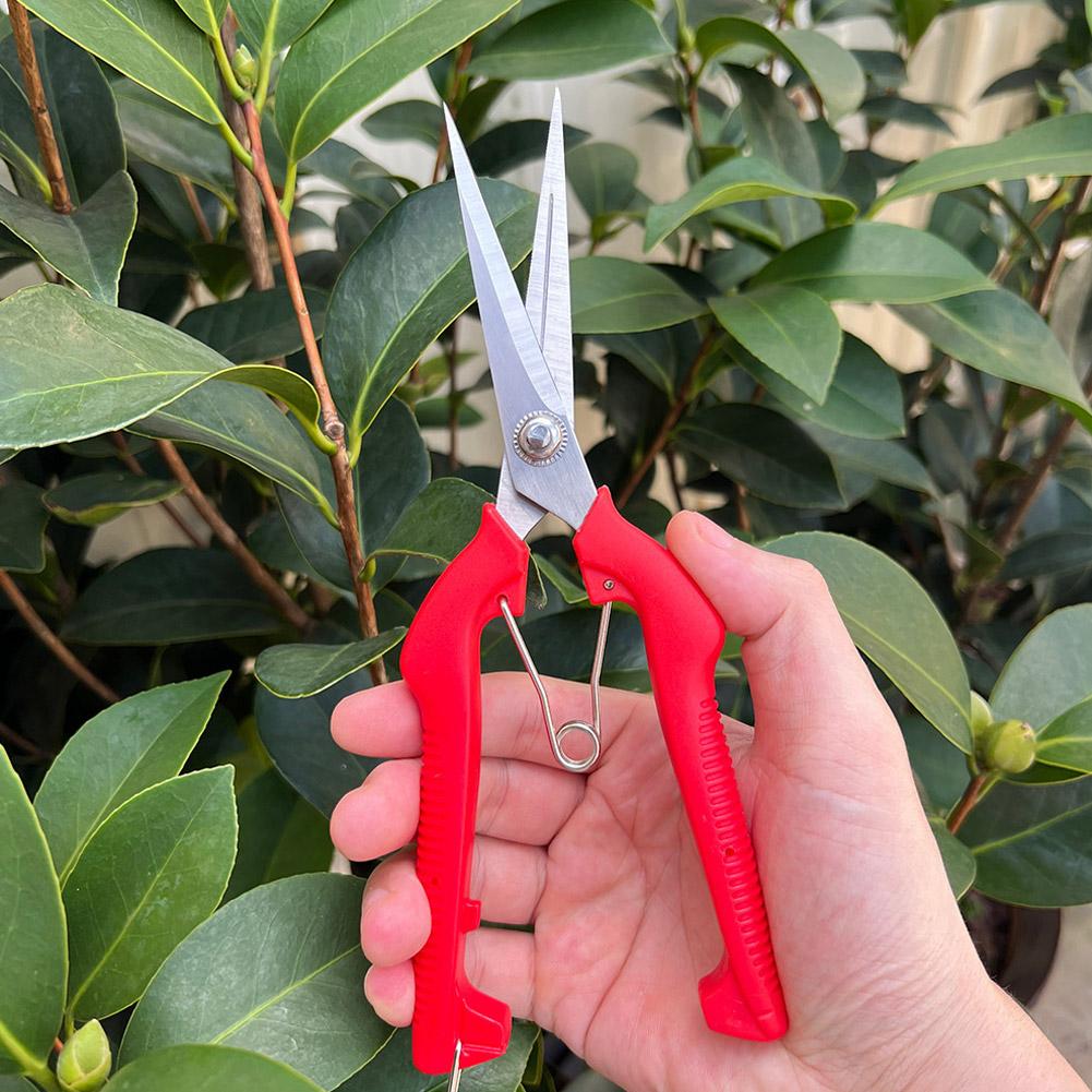 Gardening Tools Wholesale - Pro Garden snoeischaar Verlengde boom- en