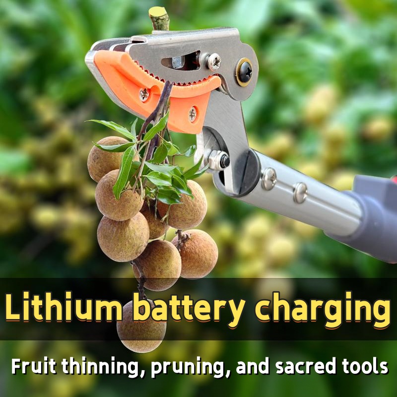 Verlengbare Telescopische Elek - Gardening Tools Electric recensie en prijs