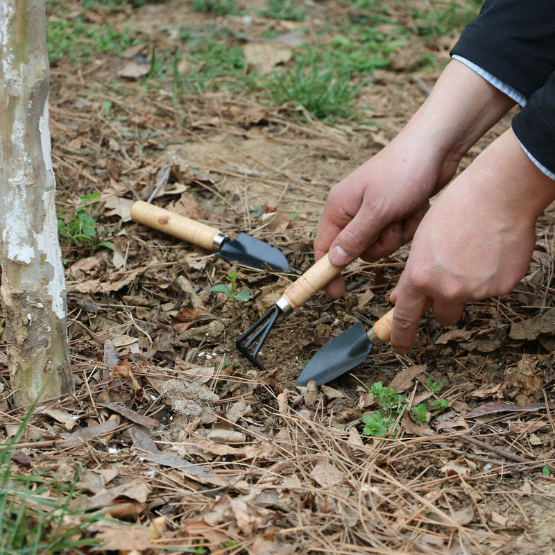 3 stks/set Mini Tuingereedscha - Gardening Tools For Digging recensie en prijs