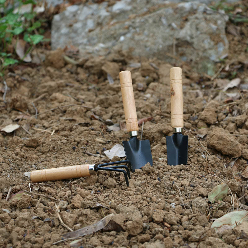 3 stks/set Mini Tuingereedscha - Gardening Tools For Digging recensie en prijs