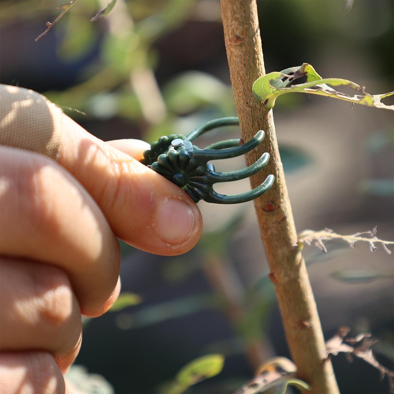 Groothandel Mini Plantensteunc - Gardening Tools Wholesale recensie en prijs