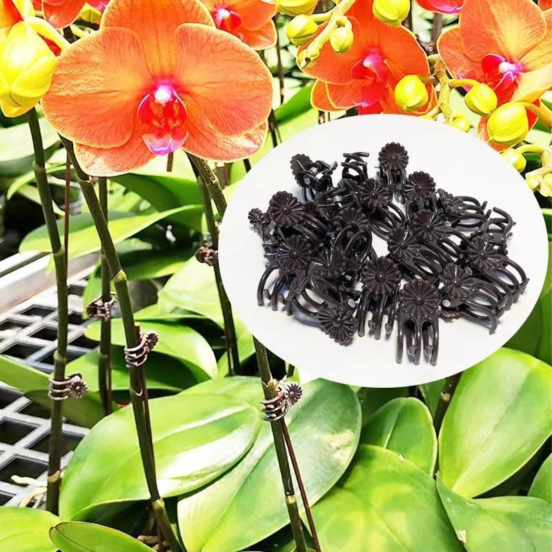 Groothandel Mini Plantensteunc - Gardening Tools Wholesale recensie en prijs