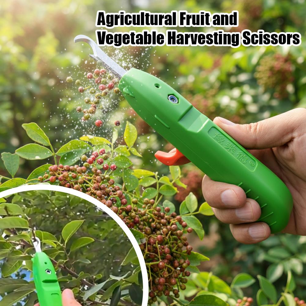 Fruit- en groentepluk schaar,  - Gardening Tools Wholesale recensie en prijs