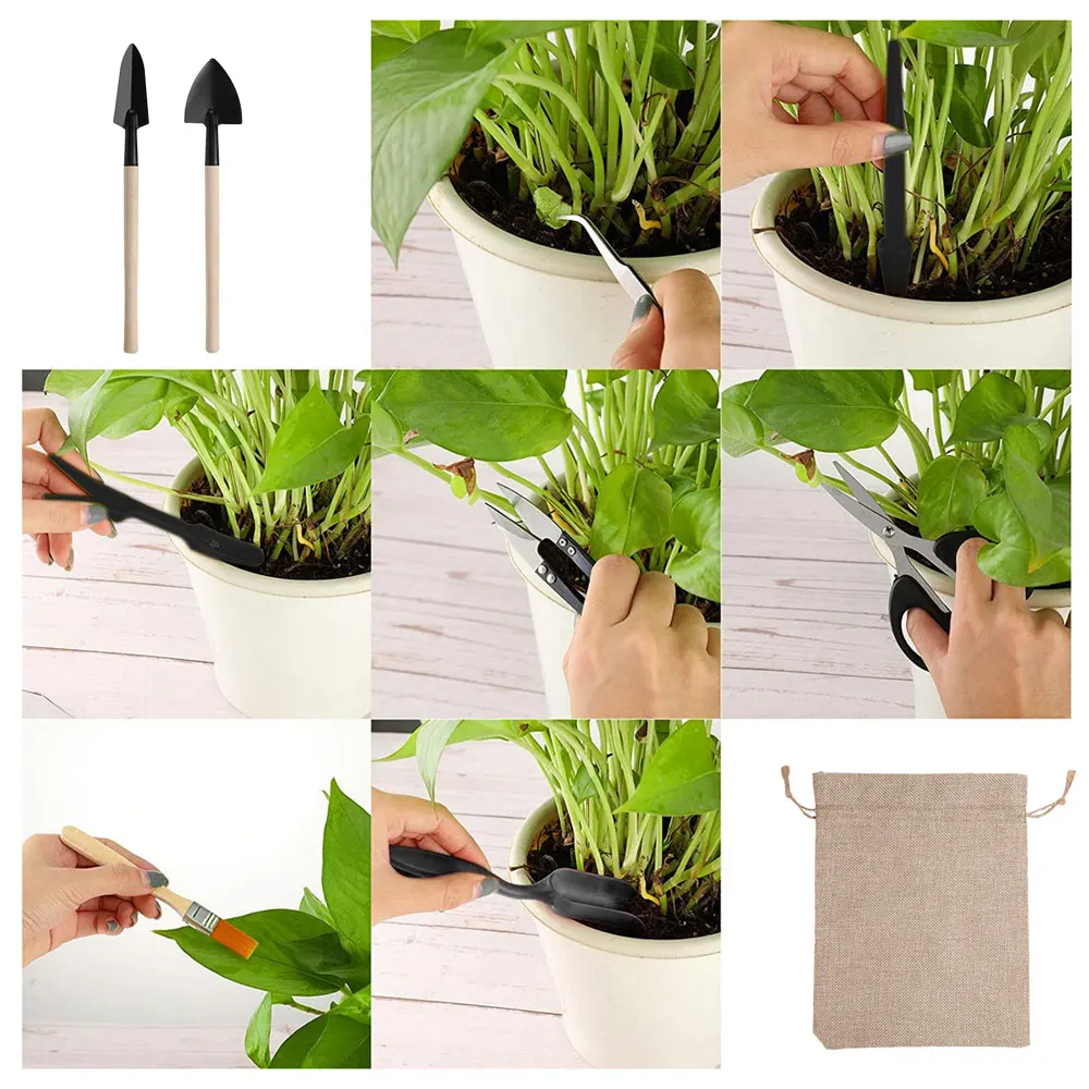 13 Stuks Sappige Planten Geree - Gardening Tools Sale recensie en prijs