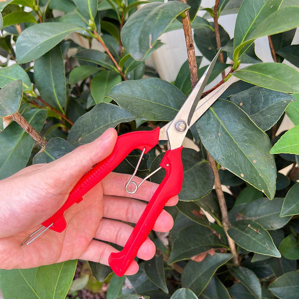 Pro Garden snoeischaar Verleng - Gardening Tools Wholesale recensie en prijs