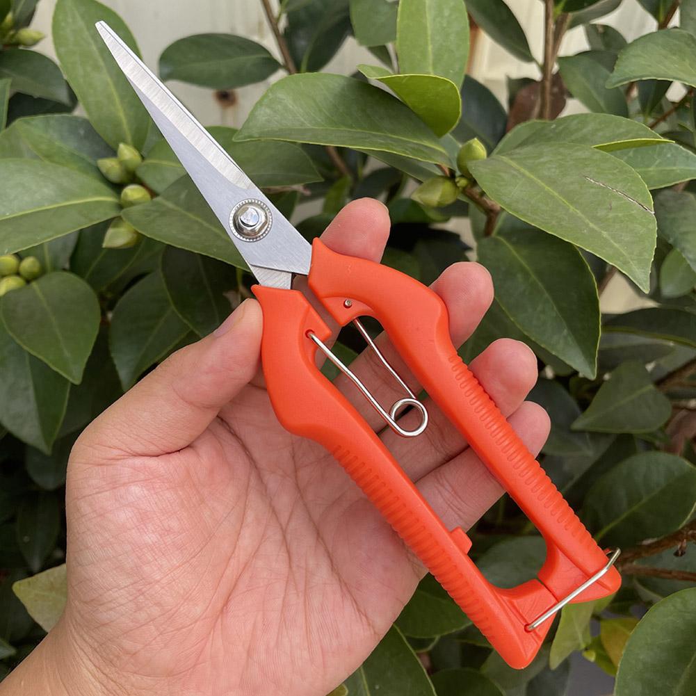 Pro Garden snoeischaar Verleng - Gardening Tools Wholesale recensie en prijs