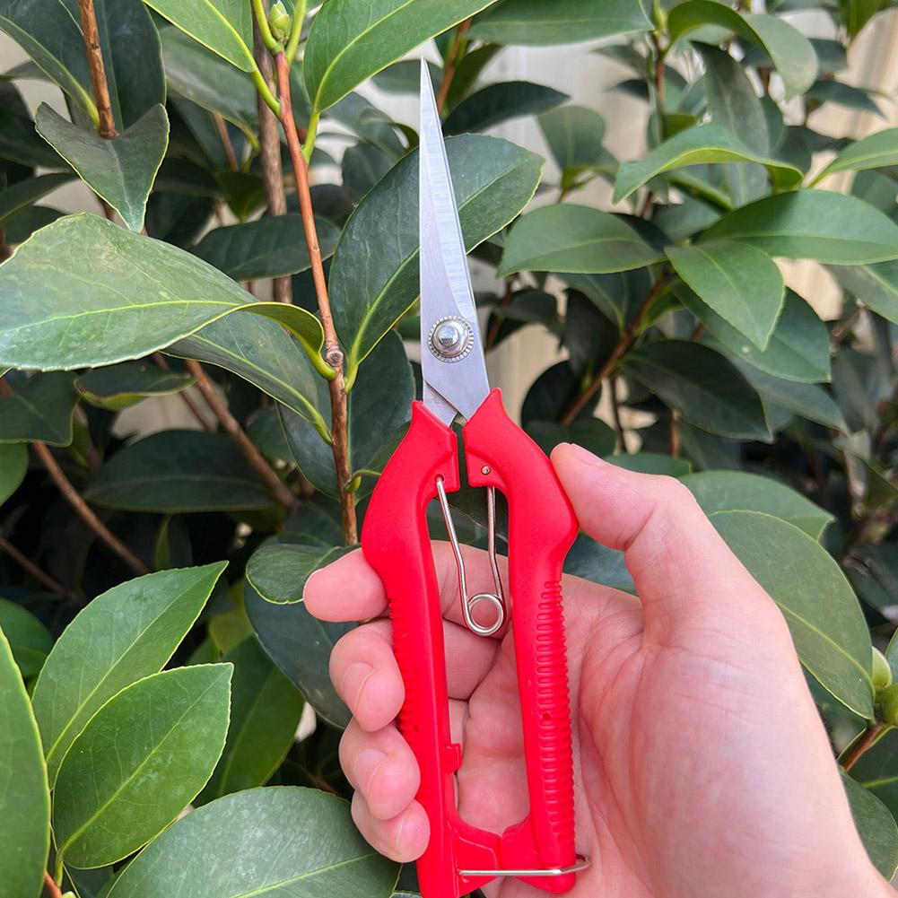 Pro Garden snoeischaar Verleng - Gardening Tools Wholesale recensie en prijs