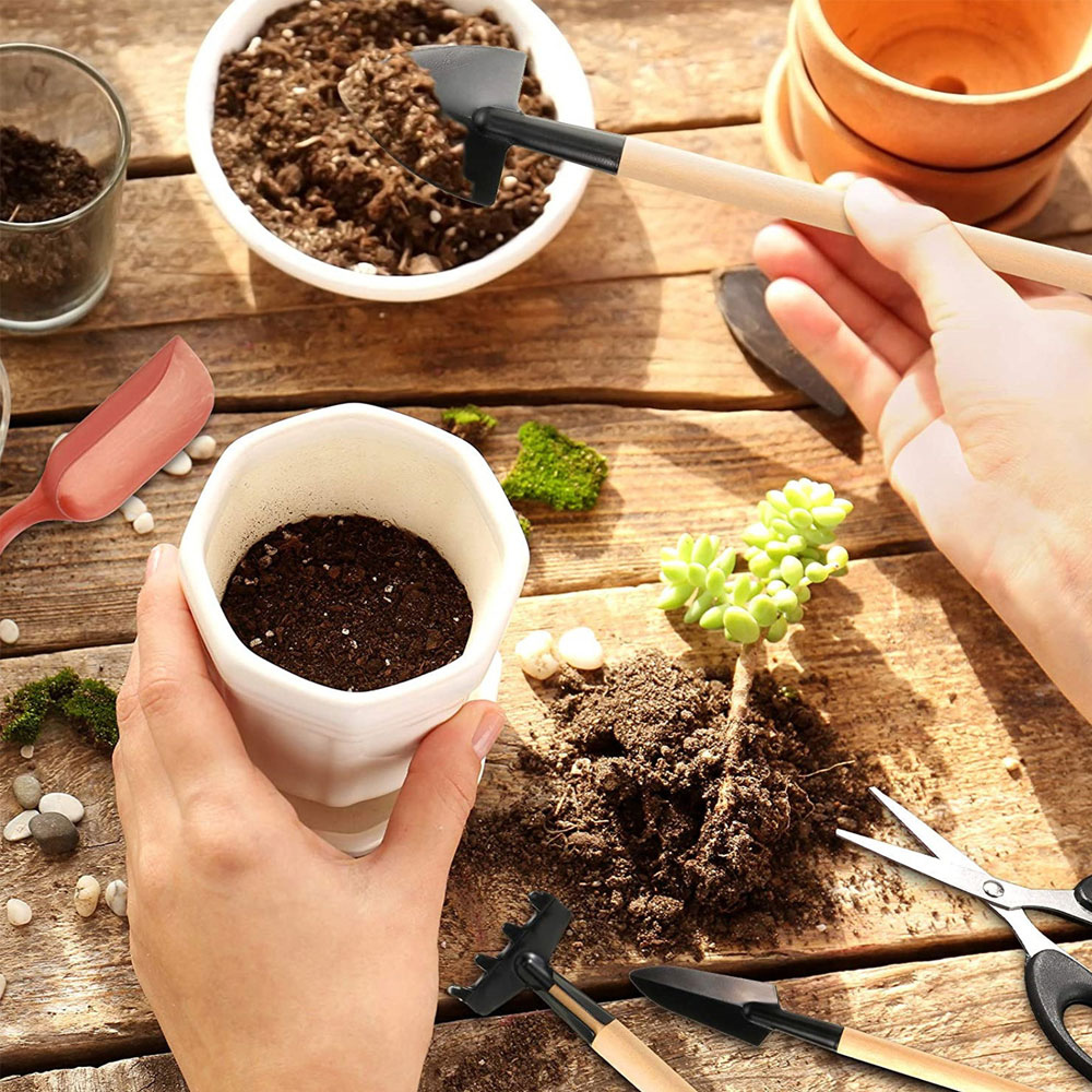 Vetplanten Gereedschap Mini Tu - Gardening Tools Sale recensie en prijs
